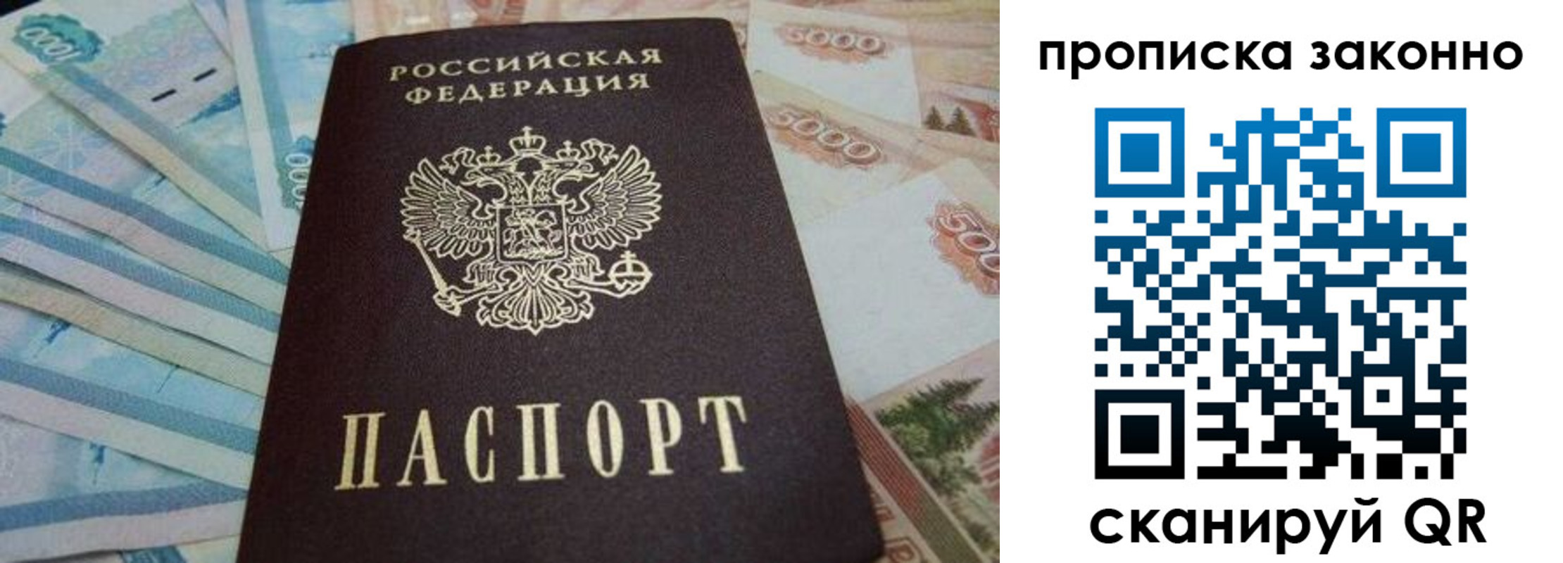 прописка для работы в Купино
